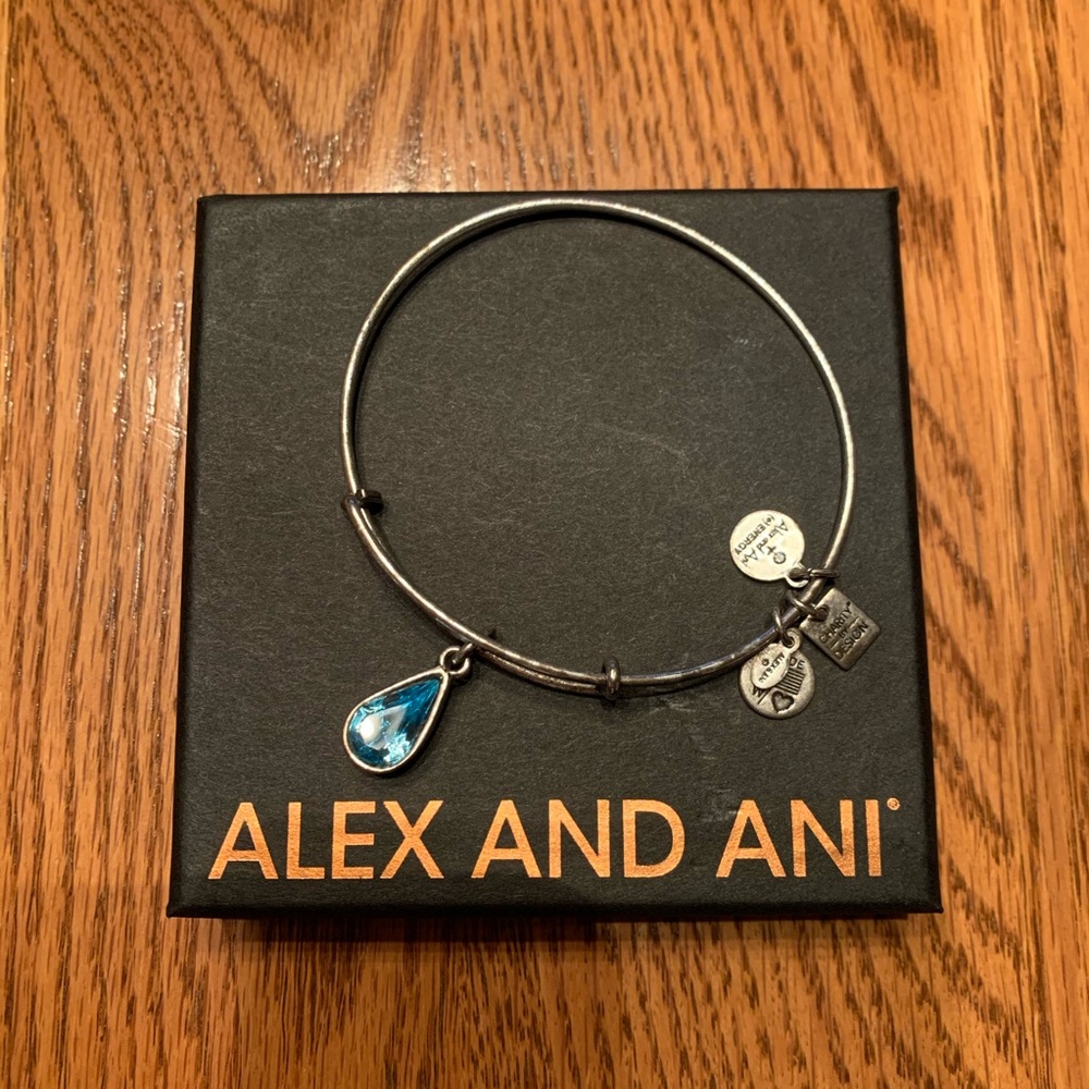 Alex and Ani Water of Life bracelet